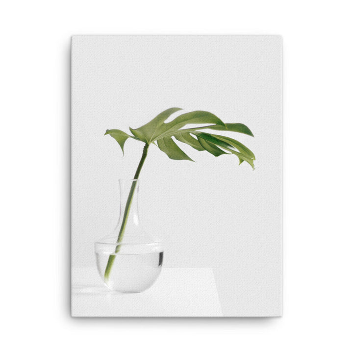 Palm in Vase - Leinwand 30x41 cm artlia