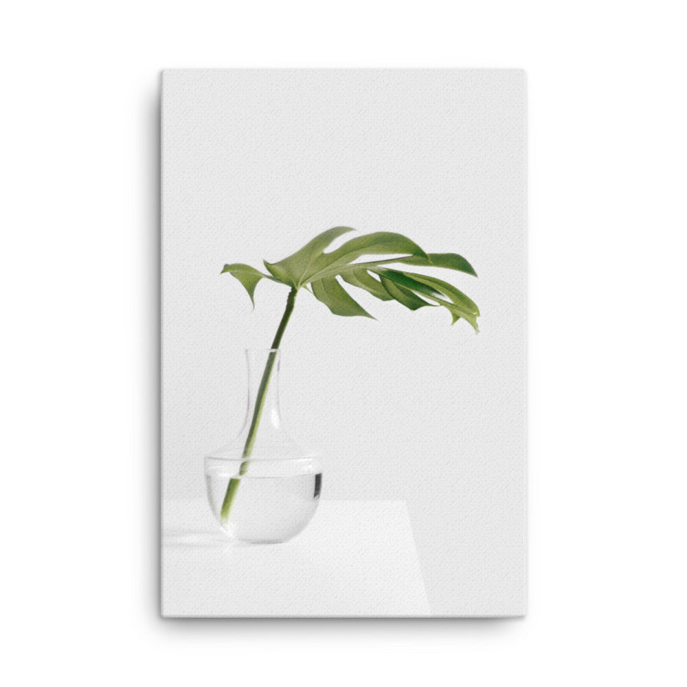 Palm in Vase - Leinwand 61x91 cm artlia