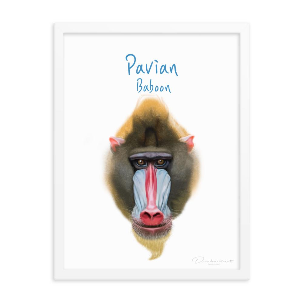 Pavian - Poster im Rahmen für Kinder weiß / 30x41 cm artlia