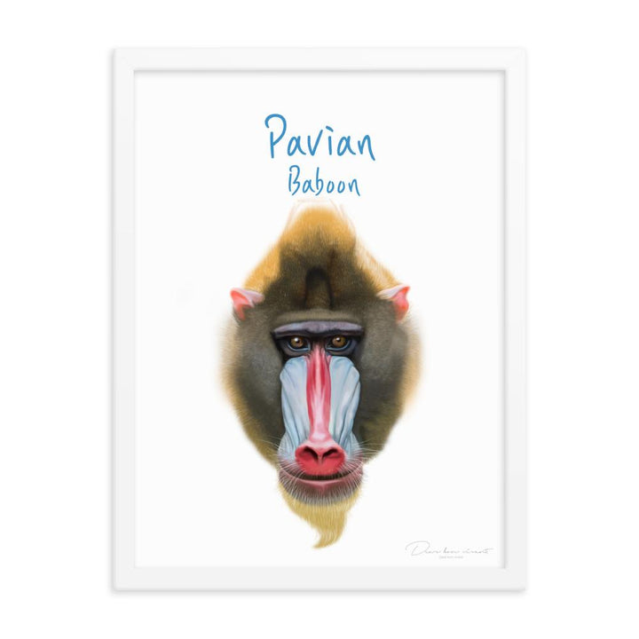 Pavian - Poster im Rahmen für Kinder weiß / 30x41 cm artlia