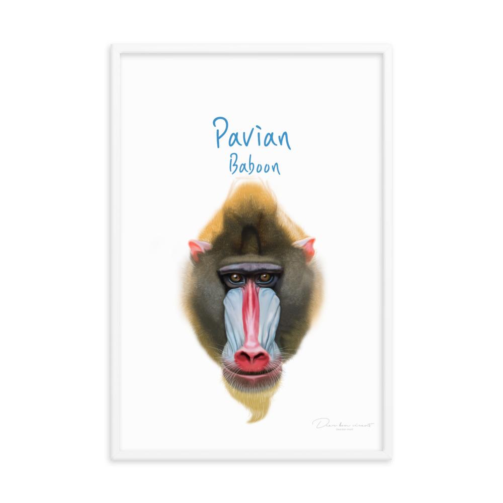 Pavian - Poster im Rahmen für Kinder weiß / 61x91 cm artlia