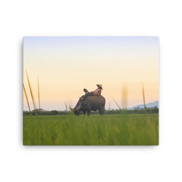 Peaceful Evening - Leinwand 41x51 cm artlia