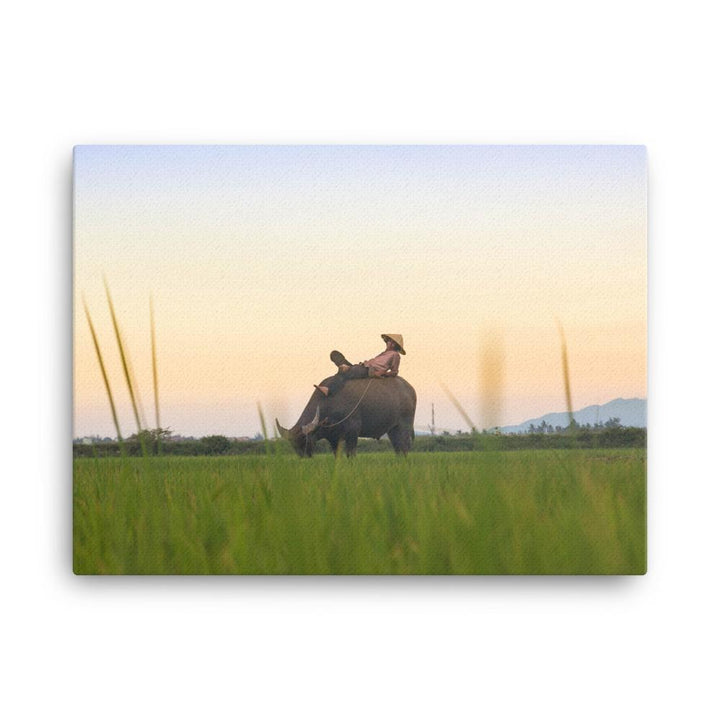 Peaceful Evening - Leinwand 30x41 cm artlia