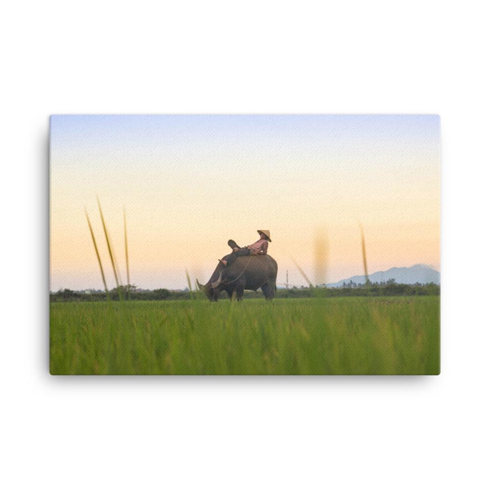 Peaceful Evening - Leinwand 61x91 cm artlia