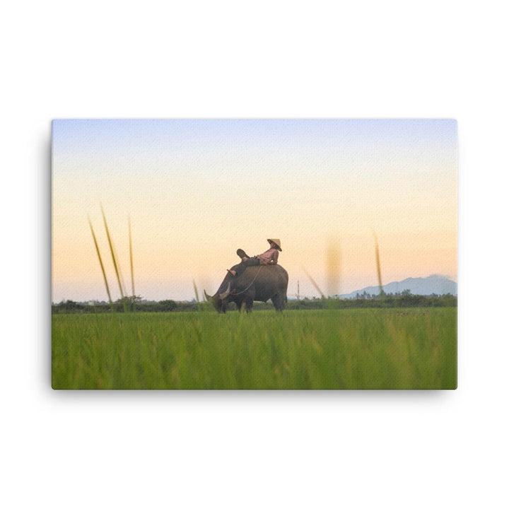 Peaceful Evening - Leinwand 61x91 cm artlia