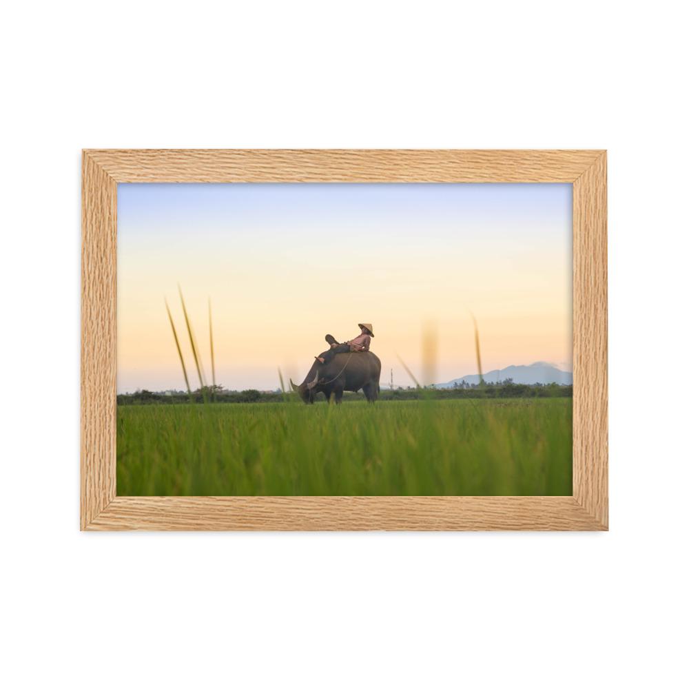 Peaceful Evening - Poster im Rahmen Oak / 21×30 cm artlia