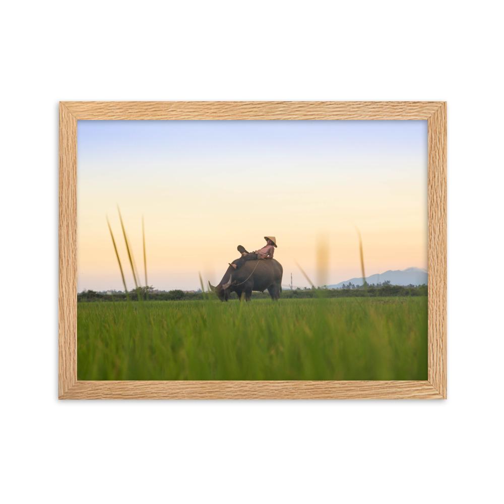 Peaceful Evening - Poster im Rahmen Oak / 30×40 cm artlia