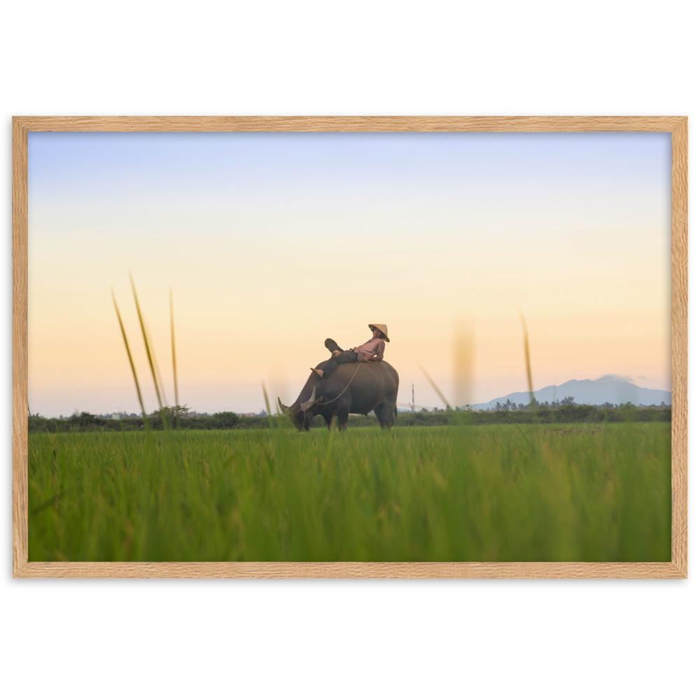 Peaceful Evening - Poster im Rahmen Oak / 61×91 cm artlia