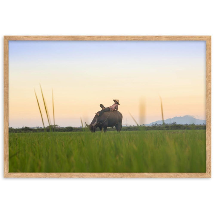 Peaceful Evening - Poster im Rahmen Oak / 61×91 cm artlia