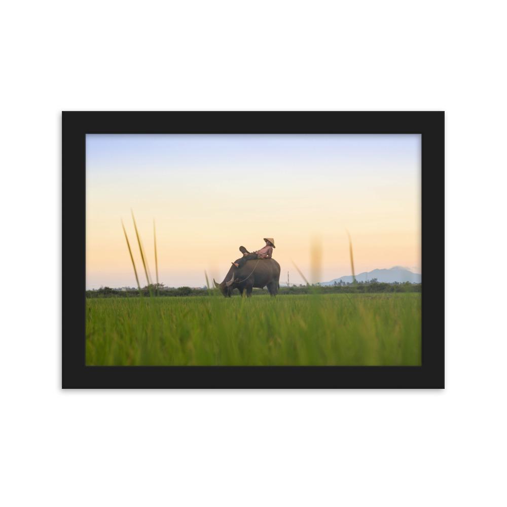 Peaceful Evening - Poster im Rahmen Schwarz / 21×30 cm artlia