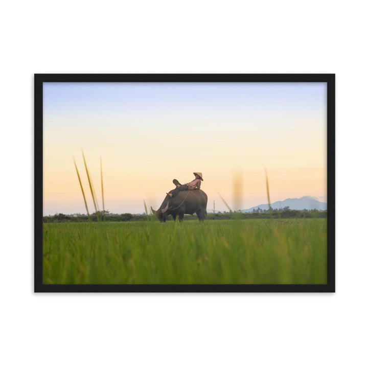 Peaceful Evening - Poster im Rahmen Schwarz / 50×70 cm artlia