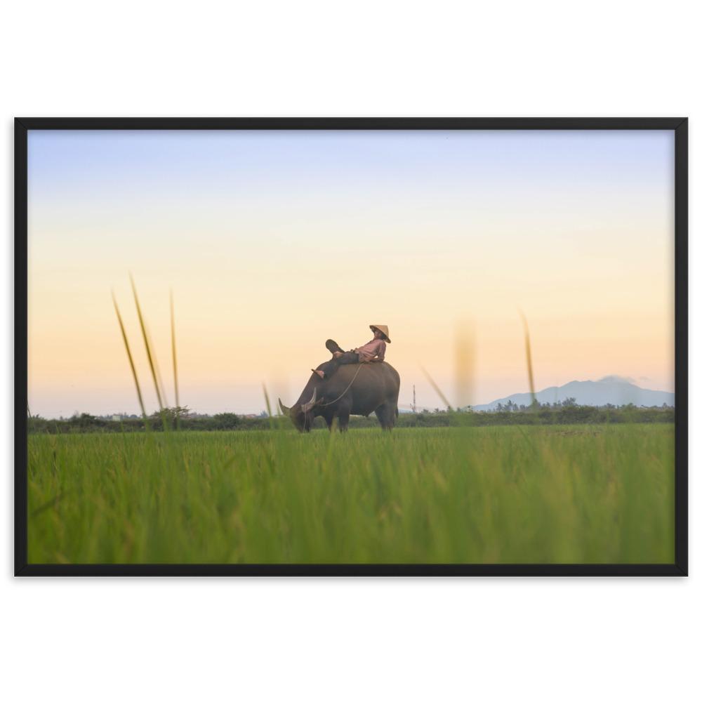 Peaceful Evening - Poster im Rahmen Schwarz / 61×91 cm artlia