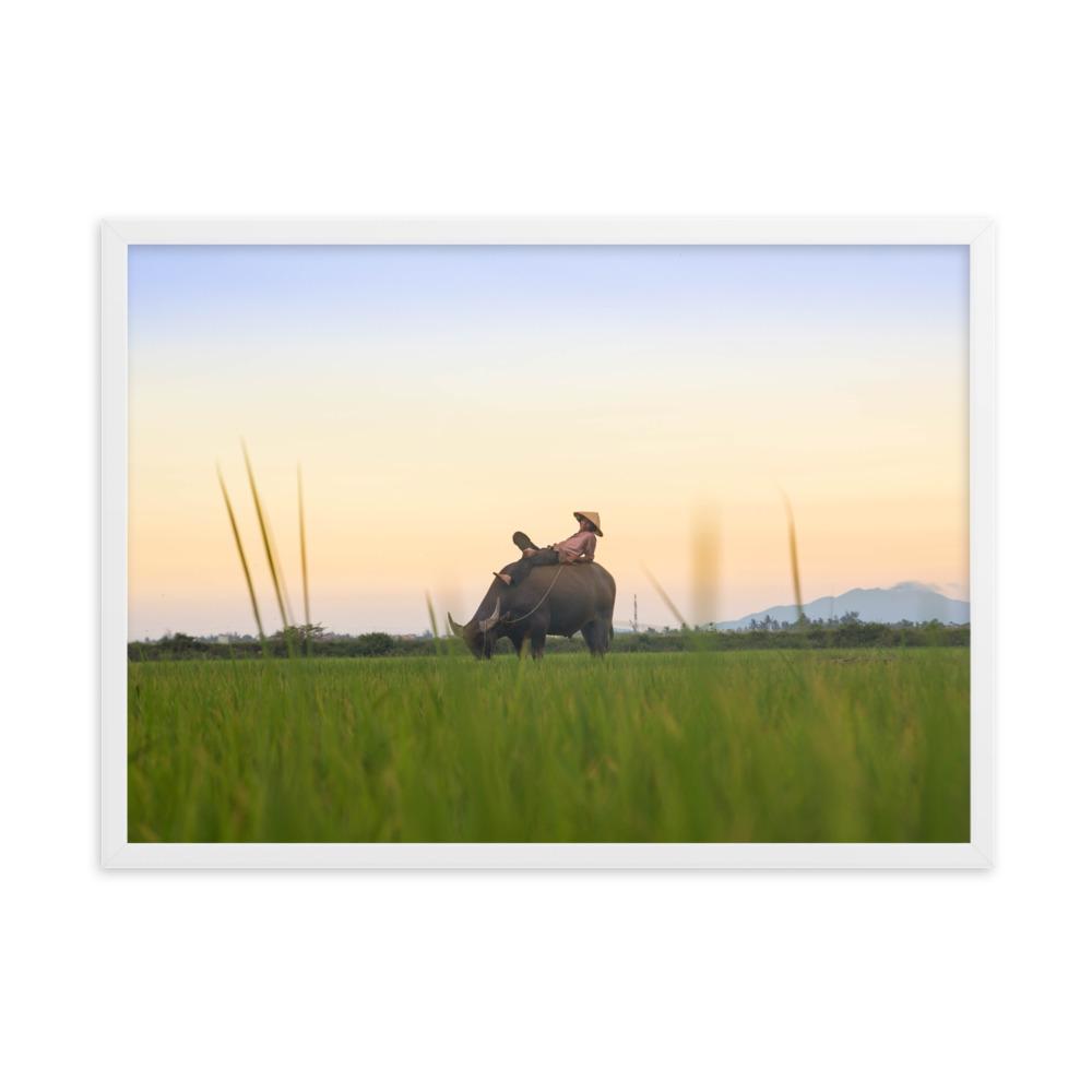 Peaceful Evening - Poster im Rahmen Weiß / 50×70 cm artlia