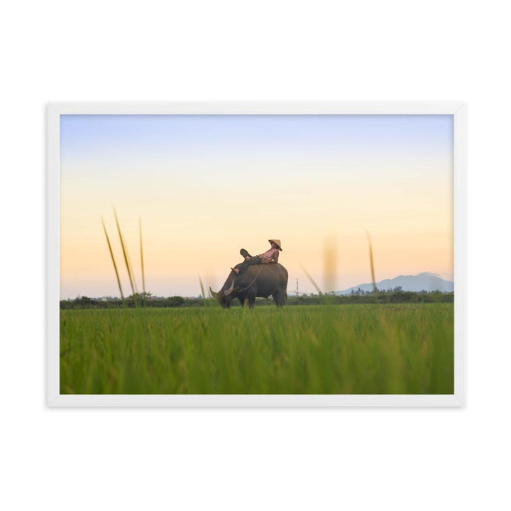 Peaceful Evening - Poster im Rahmen Weiß / 50×70 cm artlia