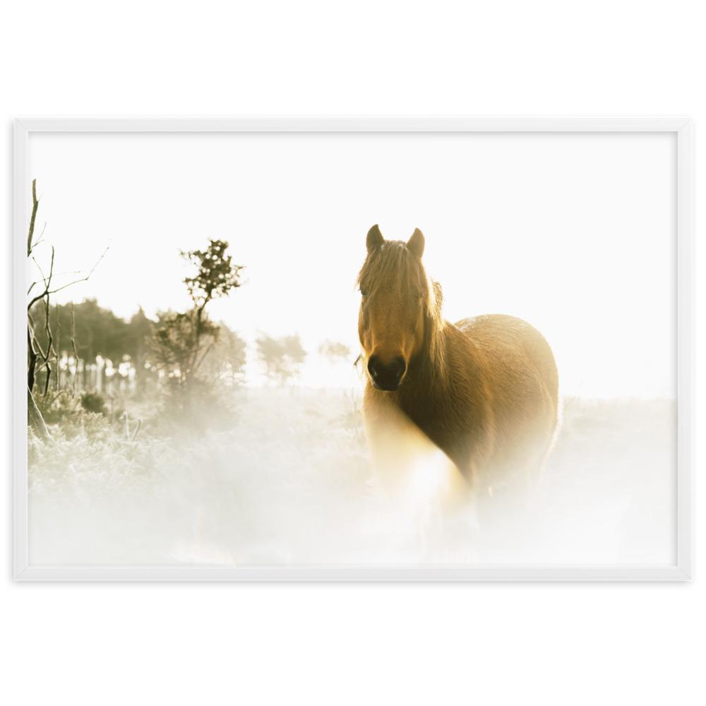 Pferd im Traum - Poster artlia
