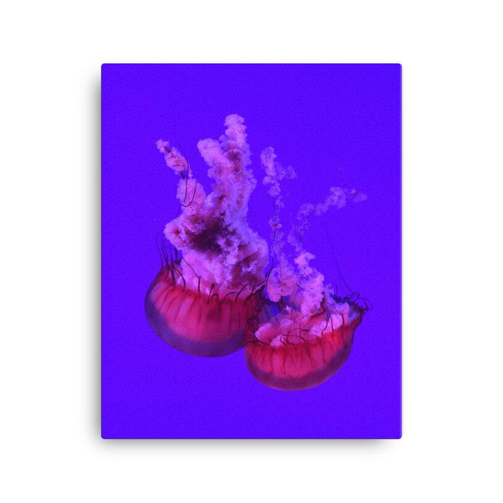 Pinke Qualle -  Leinwand 30x41 cm artlia