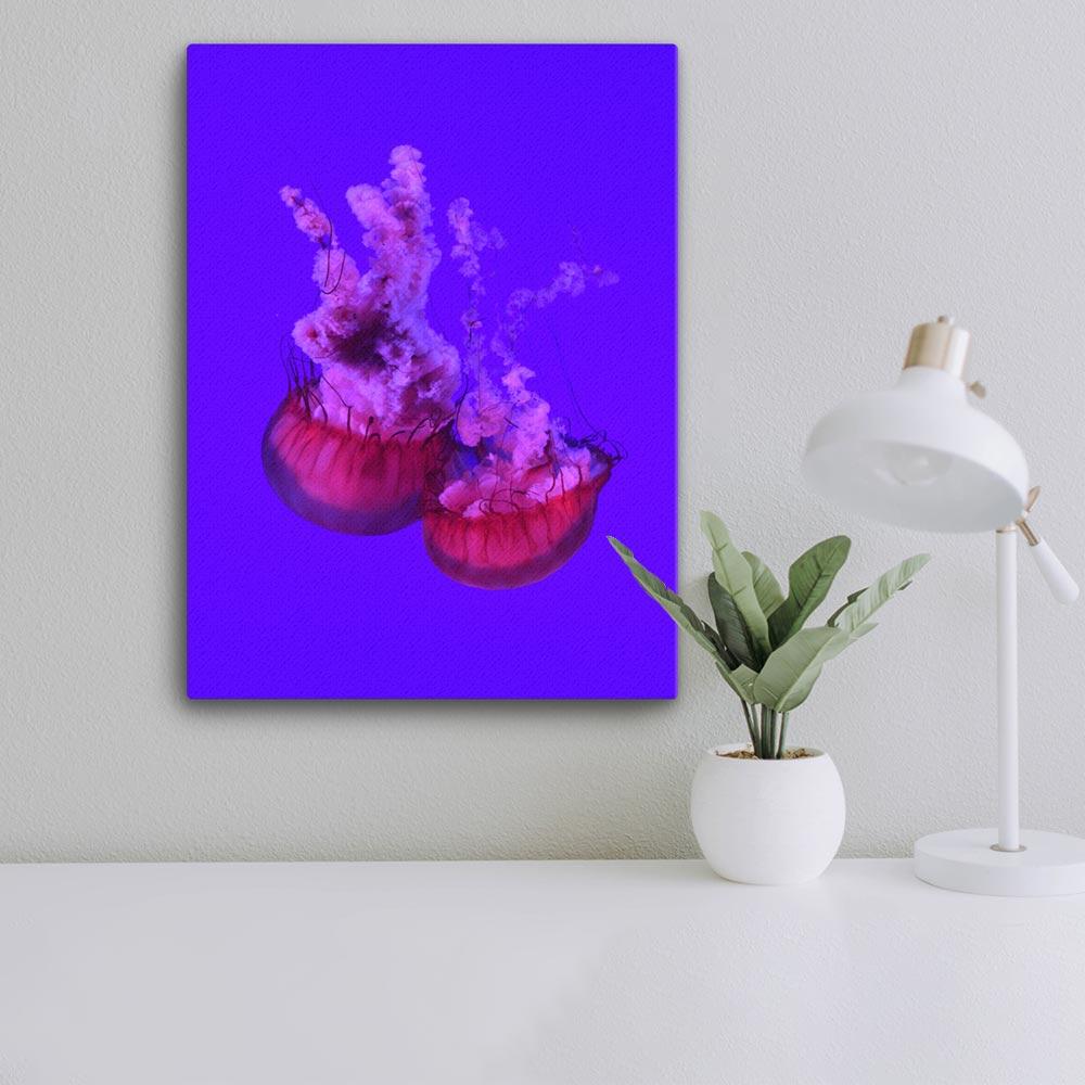 Pinke Qualle -  Leinwand 46x61 cm artlia