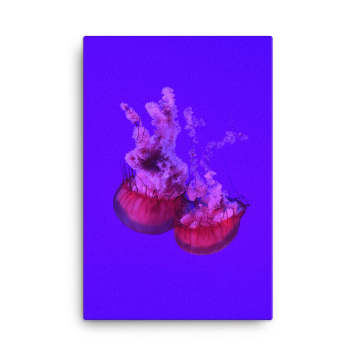 Pinke Qualle -  Leinwand 61x91 cm artlia