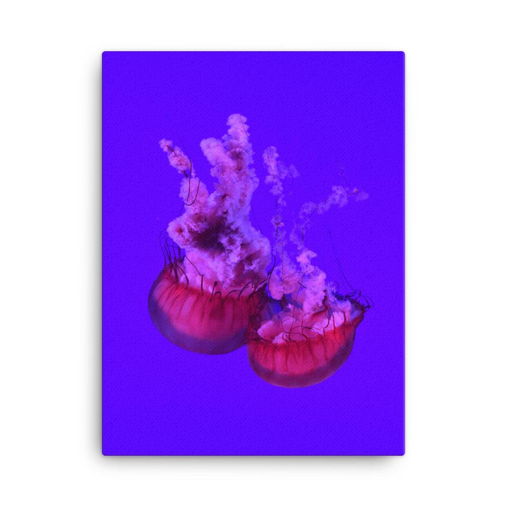 Pinke Qualle -  Leinwand artlia