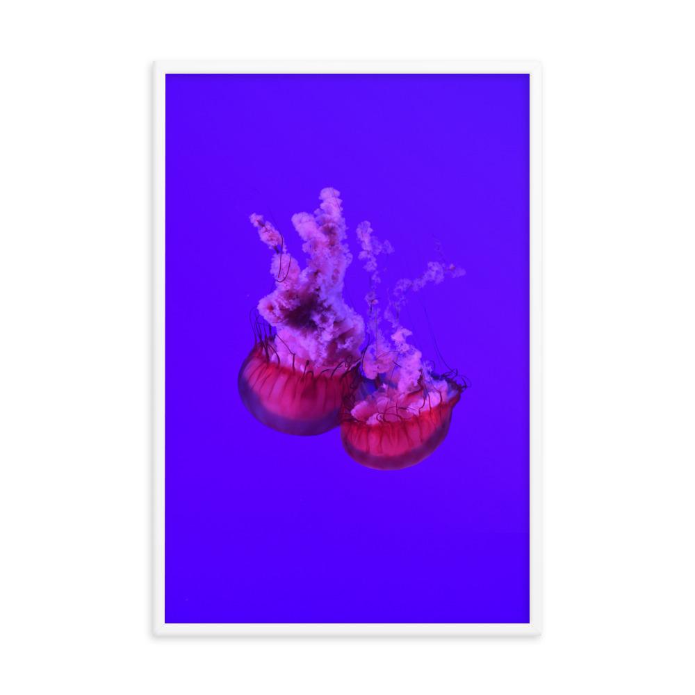 Pinke Qualle - Poster im Rahmen weiß / 61x91 cm artlia