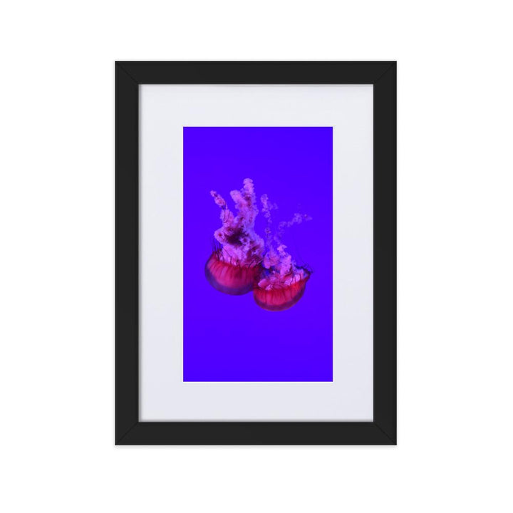 Pinke Qualle - Poster im Rahmen mit Passepartout schwarz / 21×30 cm artlia