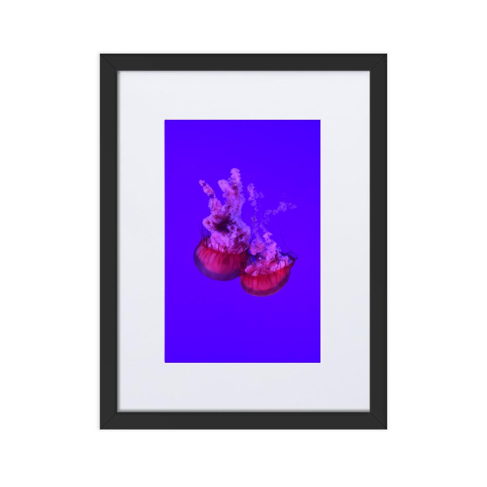 Pinke Qualle - Poster im Rahmen mit Passepartout schwarz / 30×40 cm artlia