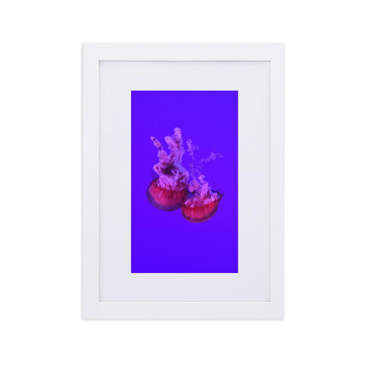 Pinke Qualle - Poster im Rahmen mit Passepartout weiß / 21×30 cm artlia