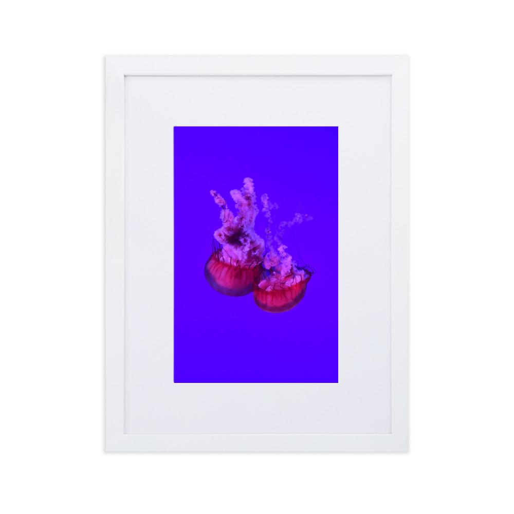 Pinke Qualle - Poster im Rahmen mit Passepartout weiß / 30×40 cm artlia
