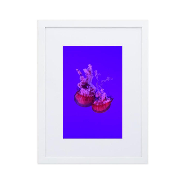 Pinke Qualle - Poster im Rahmen mit Passepartout weiß / 30×40 cm artlia