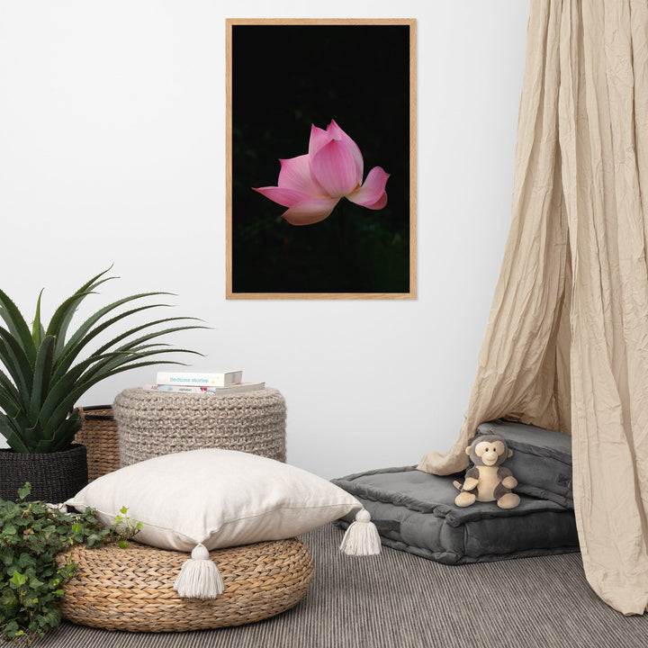 Poster - Lotus Seerose artlia