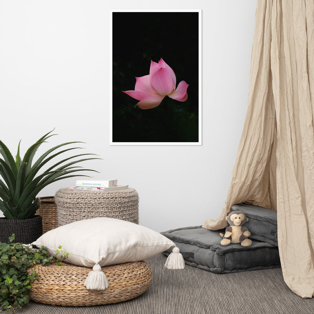 Poster - Lotus Seerose artlia