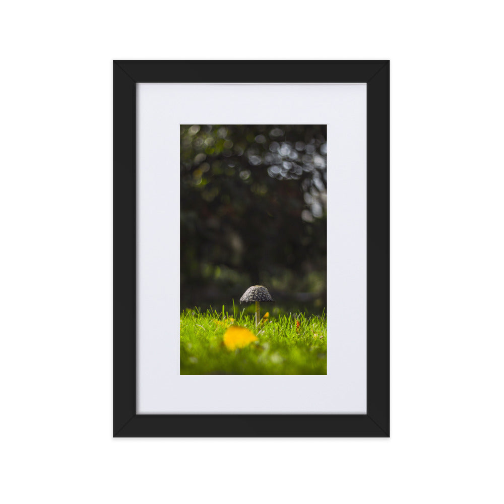 Poster mit Passepartout - Pilz Schwarz / 21×30 cm artlia