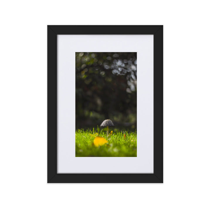 Poster mit Passepartout - Pilz Schwarz / 21×30 cm artlia