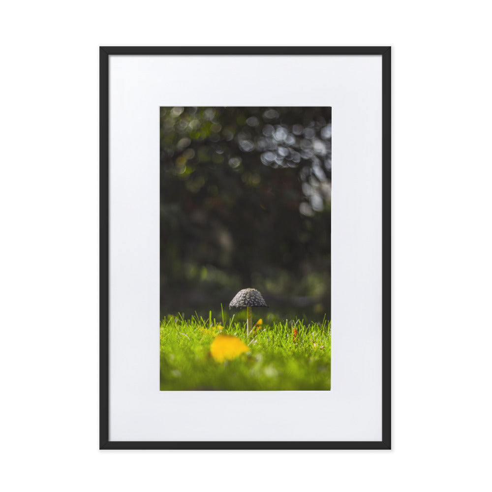 Poster mit Passepartout - Pilz Schwarz / 50×70 cm artlia