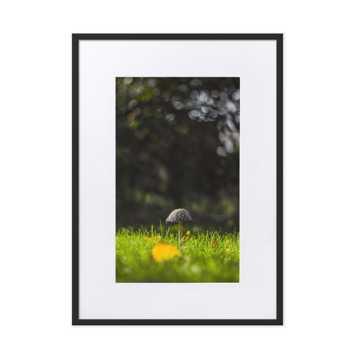 Poster mit Passepartout - Pilz Schwarz / 50×70 cm artlia