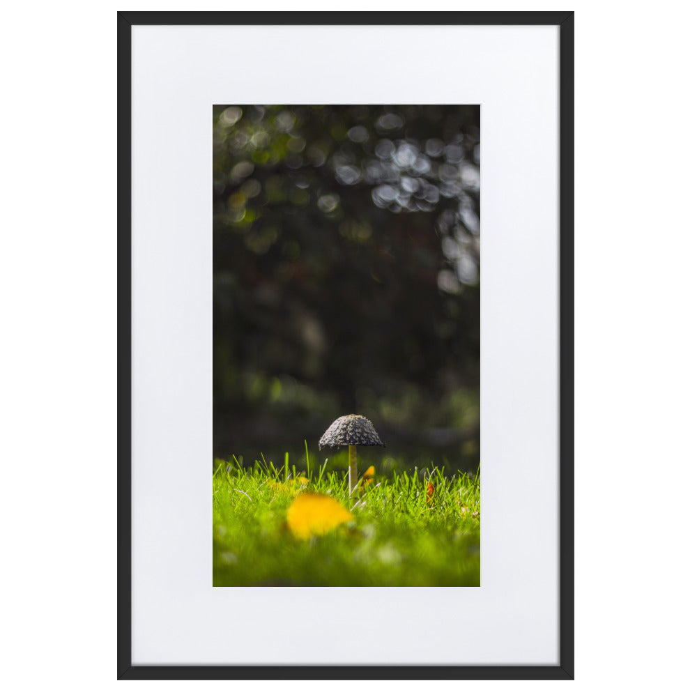 Poster mit Passepartout - Pilz Schwarz / 61×91 cm artlia