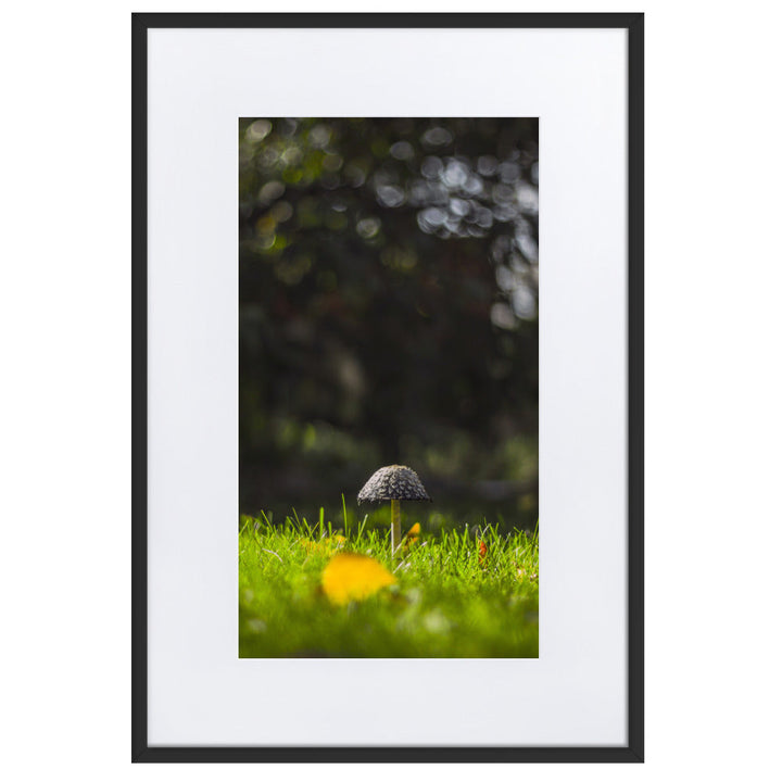 Poster mit Passepartout - Pilz Schwarz / 61×91 cm artlia