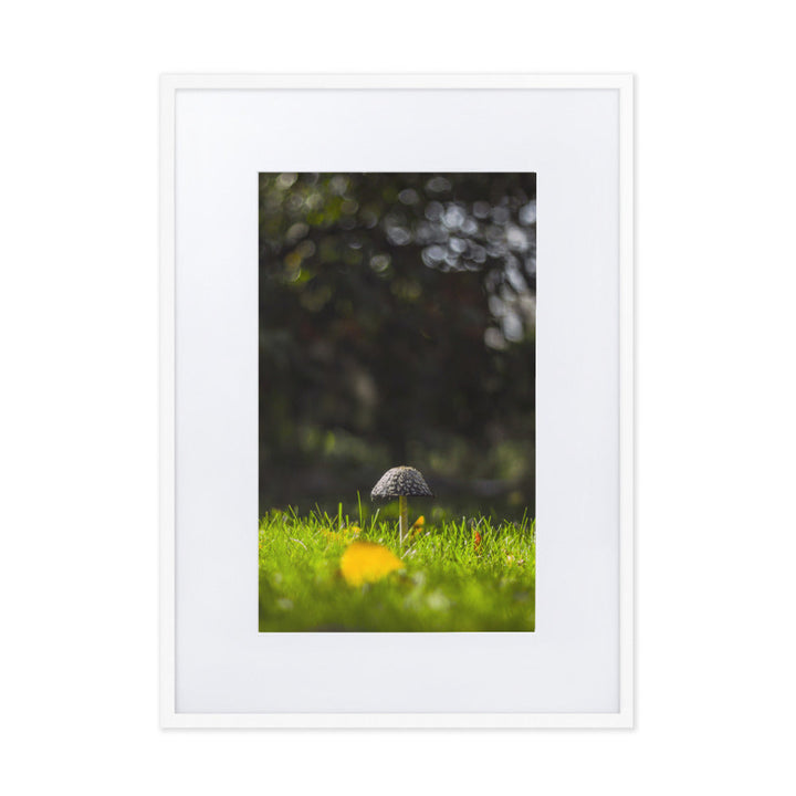 Poster mit Passepartout - Pilz Weiß / 50×70 cm artlia
