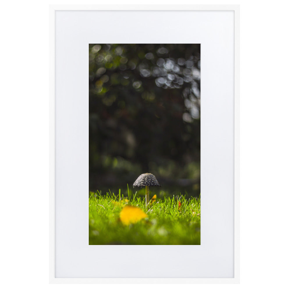 Poster mit Passepartout - Pilz Weiß / 61×91 cm artlia