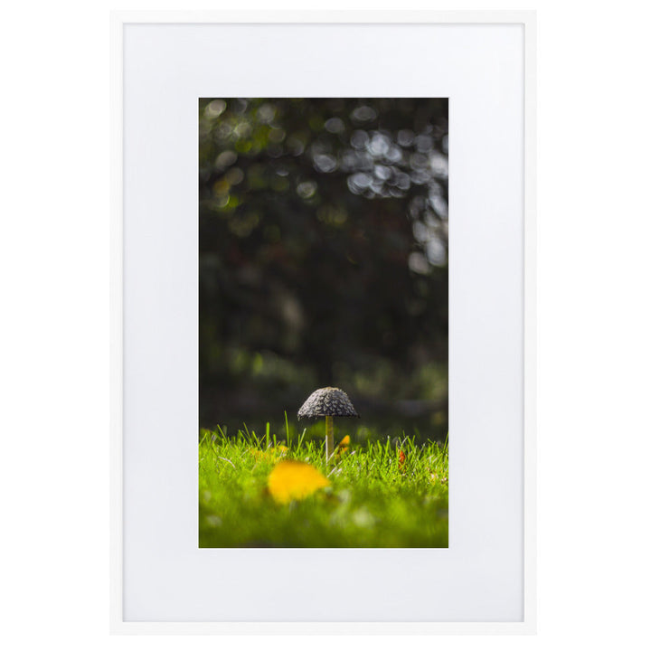 Poster mit Passepartout - Pilz Weiß / 61×91 cm artlia