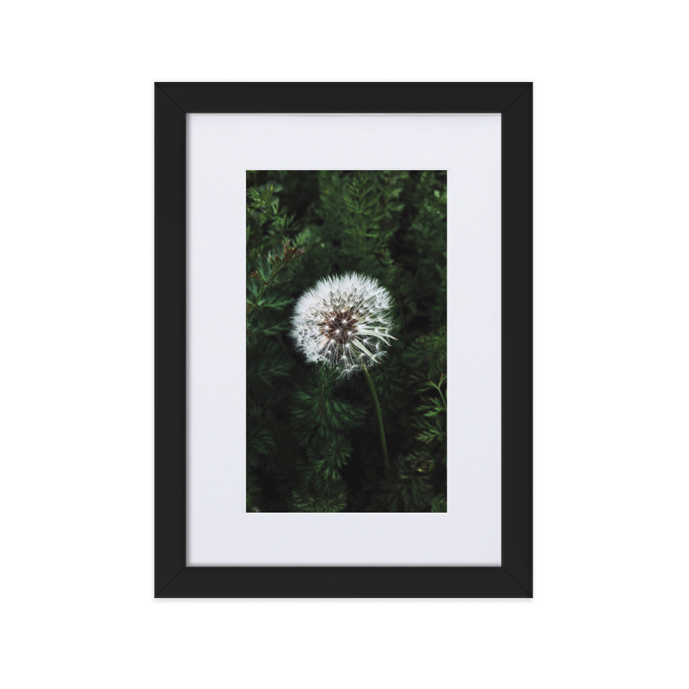 Poster mit Passepartout - Pusteblume Schwarz / 21×30 cm artlia