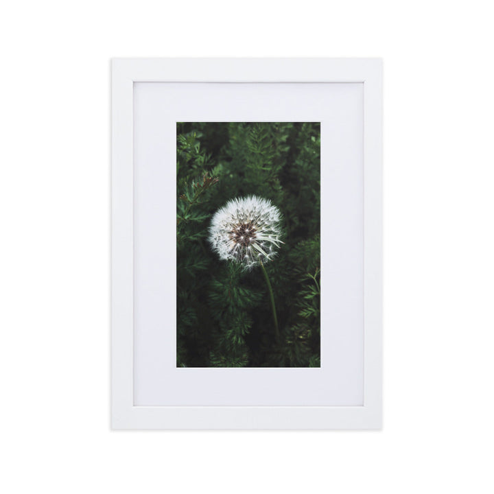 Poster mit Passepartout - Pusteblume Weiß / 21×30 cm artlia