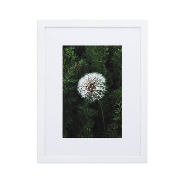 Poster mit Passepartout - Pusteblume Weiß / 30×40 cm artlia