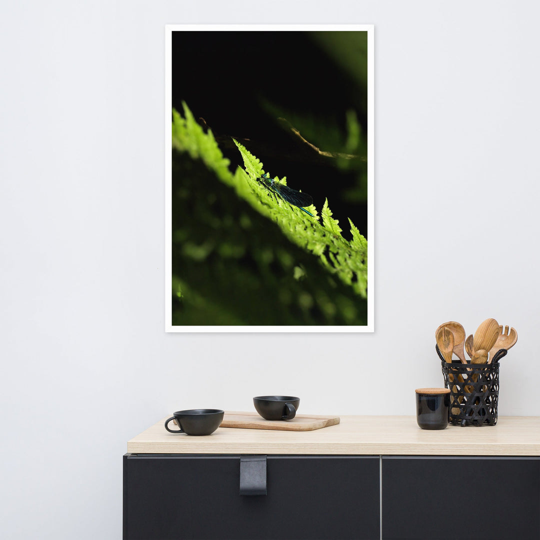 Poster mit Rahmen - Grüne Libelle artlia