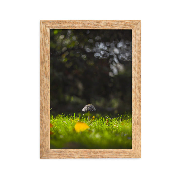 Poster mit Rahmen - Pilz Oak / 21×30 cm artlia