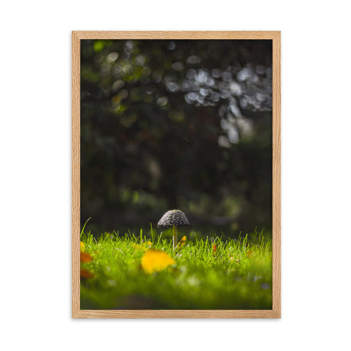 Poster mit Rahmen - Pilz Oak / 50×70 cm artlia