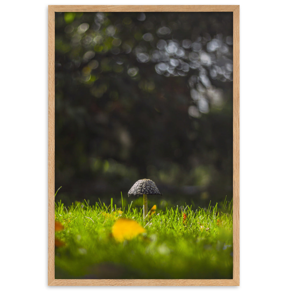 Poster mit Rahmen - Pilz Oak / 61×91 cm artlia