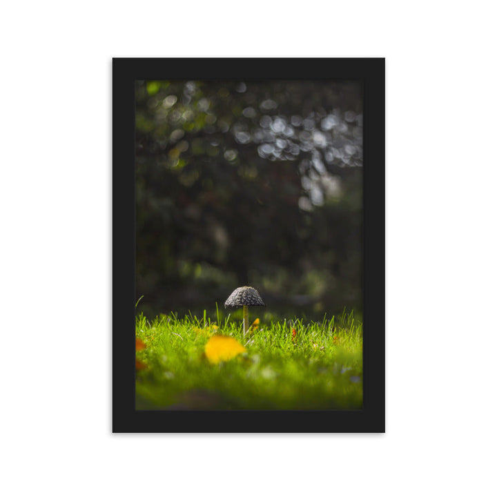 Poster mit Rahmen - Pilz Schwarz / 21×30 cm artlia