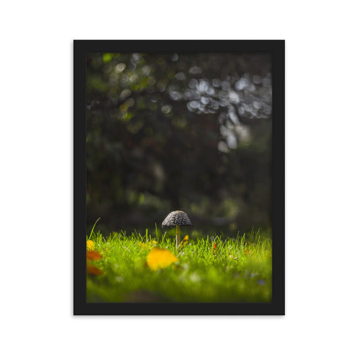 Poster mit Rahmen - Pilz Schwarz / 30×40 cm artlia