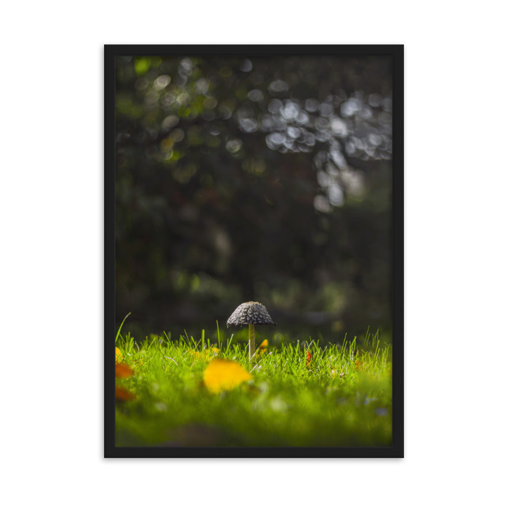 Poster mit Rahmen - Pilz Schwarz / 50×70 cm artlia